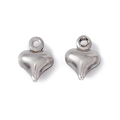 Non-Tarnish 304 Stainless Steel Charms STAS-G291-15P-1