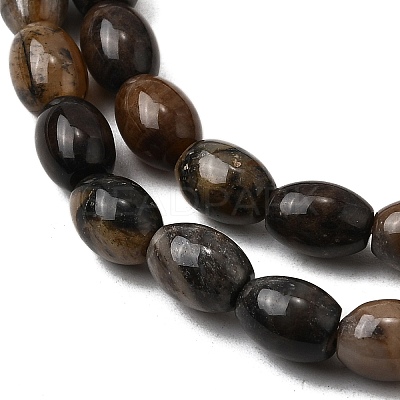 Natural Petrified Wood Beads Strands G-K362-I11-02-1