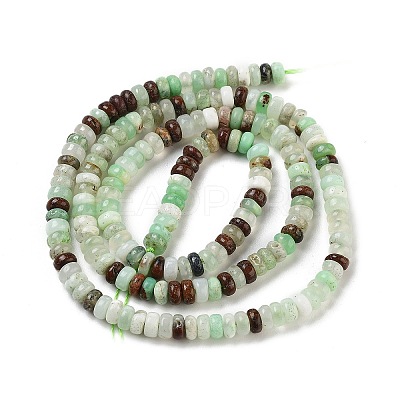 Natural Chrysoprase Beads Strands G-B088-A01-01-1