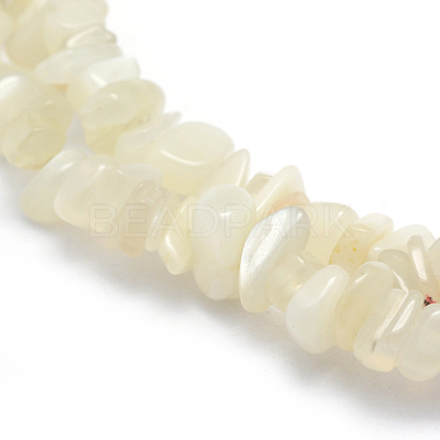 Natural White Moonstone Beads Strands X-G-P332-01-1