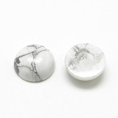 Natural Howlite Cabochons G-R416-14mm-29-1