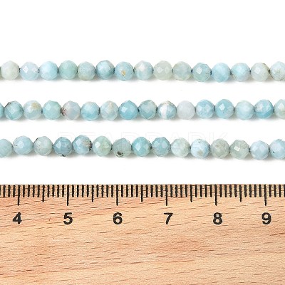 Natural Larimar Beads Strands G-K376-A03-4mm-1