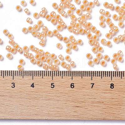 TOHO 8/0 Round Beads X-SEED-TR08-0904-1