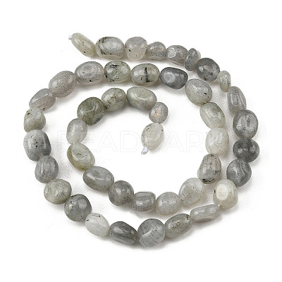 Natural Labradorite Beads Strands G-P623-A03-01-1
