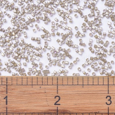 MIYUKI Delica Beads SEED-J020-DB0680-1