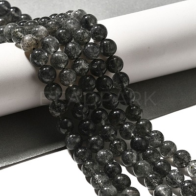 Natural Biotite Beads Strands G-F784-A03-02-1