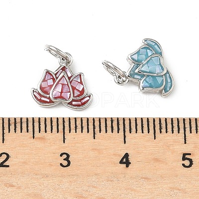 Rack Plating Brass & Shell Charms KK-I357-10P-1
