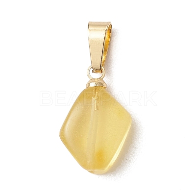 Natural Amber Pendants PALLOY-JF05157-1