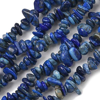 Natural Lapis Lazuli Chip Beads Strands X-G-E271-121-1