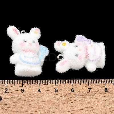 Flocky Opaque Resin Pendants RE-CBAC51B-04P-1