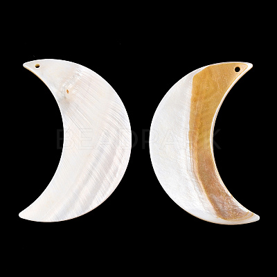 Freshwater Shell Pendants BSHE-S620-04-1