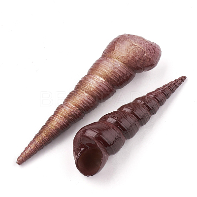 Natural Spiral Shell Beads X-SSHEL-Q307-02A-1