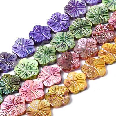 Natural Freshwater Shell Beads Strands SHEL-Q025-002-1