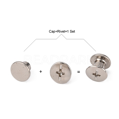 Iron Screw Rivets IFIN-WH0030-01-1