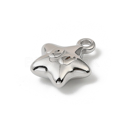304 Stainless Steel Charms STAS-F327-03E-P-1