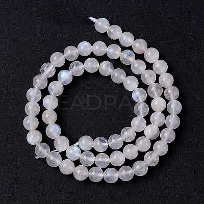 Natural Rainbow Moonstone Beads Strands G-I249-B04-04-1