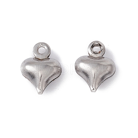 Non-Tarnish 304 Stainless Steel Charms STAS-G291-15P-1