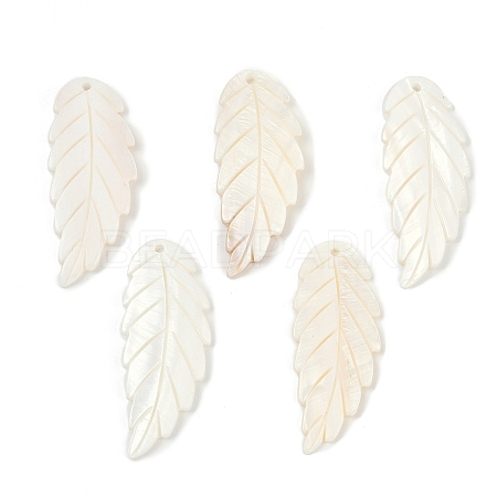 Natural Freshwater Shell Big Pendants SHEL-K006-44-1