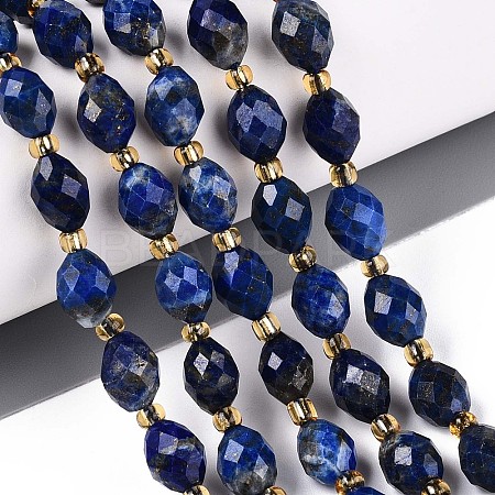 Natural Lapis Lazuli Beads Strands G-N342-35-8x6-10-1