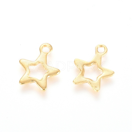 201 Stainless Steel Charms STAS-E438-65G-1