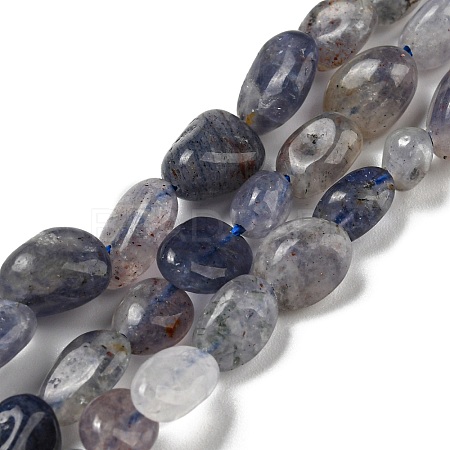 Natural Iolite Beads Strands G-P497-01A-13-1
