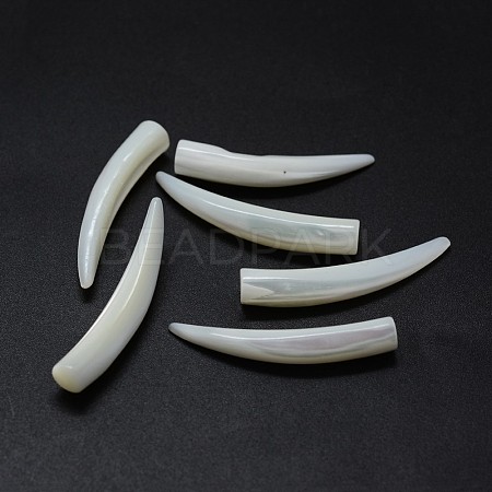 Shell Beads SSHEL-G020-03B-01-1