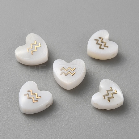 5Pcs Natural White Shell Beads LS-BSHE-TAC0004-02A-1