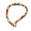 Natural Crazy Lace Agate Round Bead Strands G-M272-03-4mm-5
