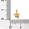 304 Stainless Steel Charms STAS-R159-58G-01-3