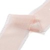 Polyester Chiffon Ribbon HULI-PW0002-053B-3