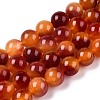 Dyed Natural White Jade Beads Strands G-T138-10mm-210-24-4