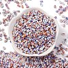 Baking Paint Glass Seed Beads SEED-C003-01C-2