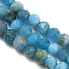 Natural Apatite Beads Strands G-D347-A01-4