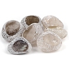Natural Grey Agate Dinosaur Egg Display Decorations PW-WGE8BAF-05-1