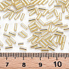 Plated Glass Bugle Beads SEED-S046-01A-22-3
