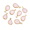 K9 Glass Charms GLAA-T023-10A-1