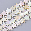 Freshwater Shell Beads Strands SHEL-N026-07B-1