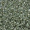 MIYUKI Delica Beads SEED-J020-DB2378-2