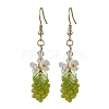 Yellow Green Grape Fruit Resin Dangle Earrings EJEW-JE05646-1