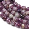 Natural Lepidolite/Purple Mica Stone Beads Strands G-G160-A01-01A-5
