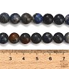 Natural Dumortierite Beads Strands G-F826-A01-8mm-4