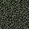 MIYUKI Round Rocailles Beads X-SEED-G007-RR0459-3