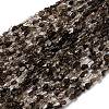 Natural Smoky Quartz Beads Strands G-I389-A31-01B-2