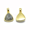 Natural Labradorite Pendants G-O176L-05G-2