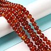 Natural Carnelian Beads Strands G-G390-8mm-03-1
