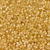 MIYUKI Delica Beads SEED-X0054-DB1801-3