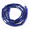 Natural Freshwater Shell Beads SHEL-R047-01B-2