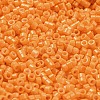 Baking Paint Glass Seed Beads SEED-S042-05A-30-3
