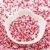 Baking Paint Glass Seed Beads X-SEED-S042-05B-46-2