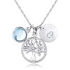 925 Sterling Silver Pendant Necklaces SWARJ-BB33801-A-1